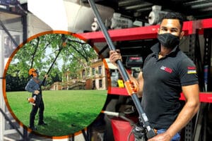 Podadora_de_altura_Equipmaster